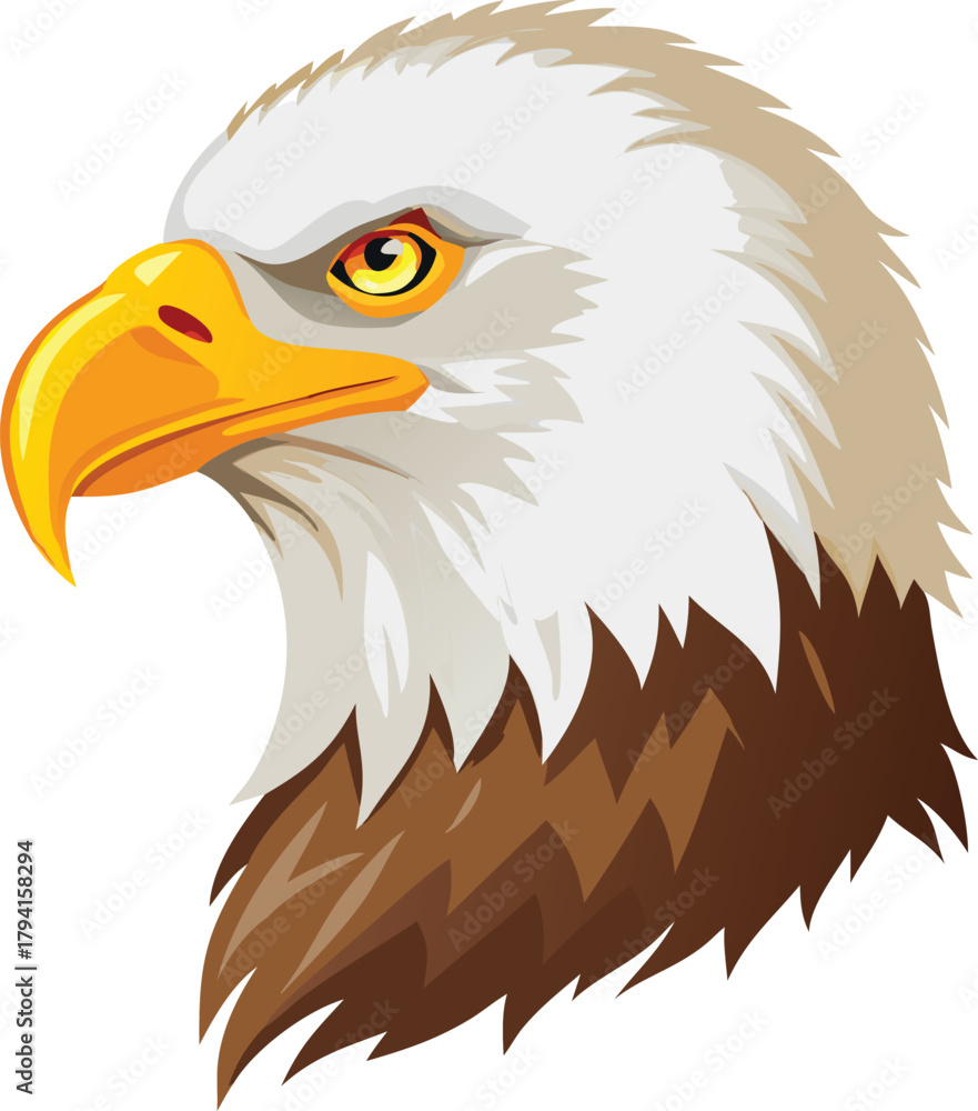 Fototapeta premium A detailed portrait of a bald eagle s head and neck plumage
