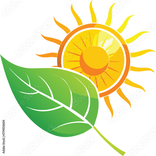 A vibrant sun and lush green leaf a symbol of natural energy