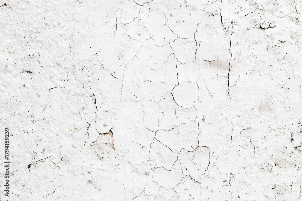 Fototapeta premium Light Gray Stucco Wall Texture. Abstract Background