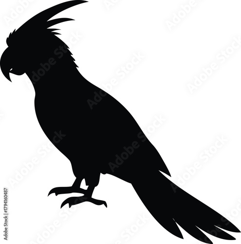 A striking silhouette of a vibrant cockatoo perched gracefully