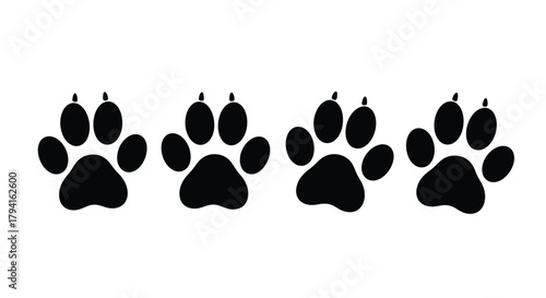 Animal tracks trail graphic element black paw prints on white backdrop