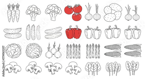 Line art vegetables collection illustration for healthy eating concept design