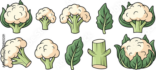 Cartoon cauliflower and spinach, vegetable illustration set, healthy food design, leafy greens artwork, child-friendly vector, nutrition theme, cooking ingredient, plant-based diet graphic