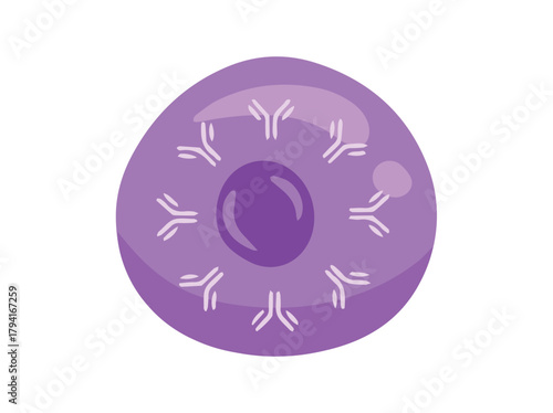B Immune cell clip art