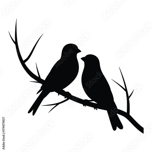 Pair of canaries together Vector, Silhouette, Illustration