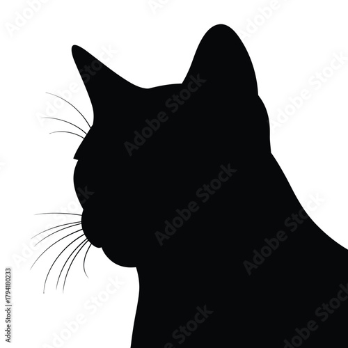Cat head close-up with ears Vector, Silhouette, Illustration