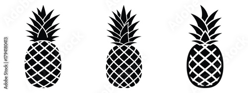 pineapple minimal flat icon set, black color and white background