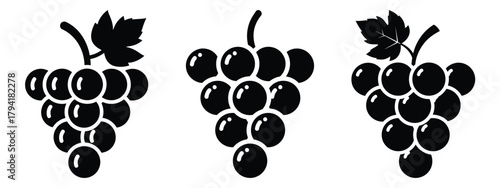 grapes minimal flat icon set, black color and white background
