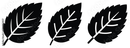 mint leaf minimal flat icon set, black color and white background