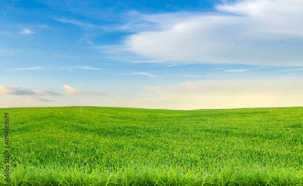 Fototapeta premium Vibrant Meadow under Azure Skies: A breathtaking view of rolling green hills stretches beneath a bright blue sky dotted with fluffy clouds, creating a sense of peace and natural beauty.