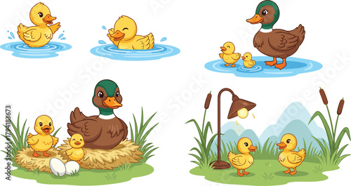 Cartoon duck family, playful ducklings illustration, nature scene vector, parent and baby ducks, pond life artwork, child-friendly design, educational animal theme, outdoor wildlife