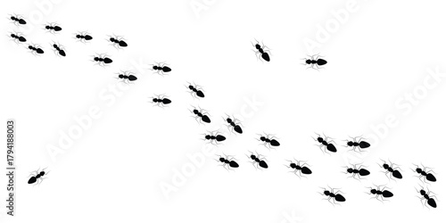Worker ants trail line flat style design vector. Silhouette of ant symbol on white background.  Ant icon vector illustration design set.  Vector illustration.