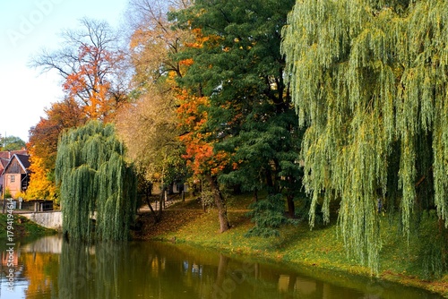 Vibrant autumn landscape in a park featuring weeping willows and diverse trees with colorful foliage reflecting in the calm water of a pond.