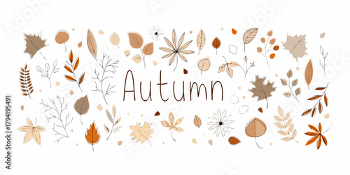 Hand drawn autumn leaves and floral elements with the word autumn in the center