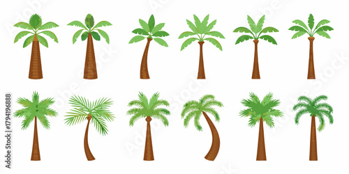 Collection of diverse cartoon palm trees with brown trunks and green leaves on a white background