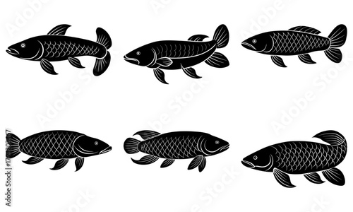 Elegant line art collection of freshwater fish outlines perfect for logo design, educational materials, and conservation awareness campaigns