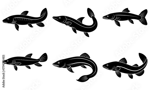 Charming fish collection perfect for nautical designs and aquatic themes, ideal for logos, illustrations, or educational resources. Vector origin allows easy scaling