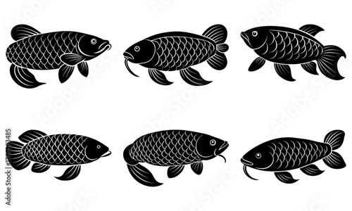 Elegant silhouette collection of stylized arowana fish, symbolizing wealth, prosperity and good luck in Asian culture, originally a scalable graphic