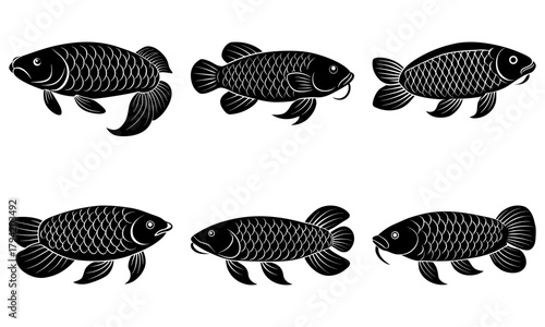 Elegant arowana fish design, symbolizing wealth and prosperity. Perfect for Chinese New Year, feng shui, or sophisticated aquatic designs. Scalable vector art