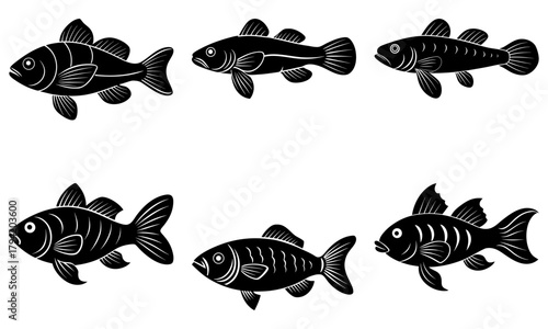 Stylized fish illustration, a diverse collection in a monochrome silhouette, perfect for designs needing an aquatic touch or nature theme
