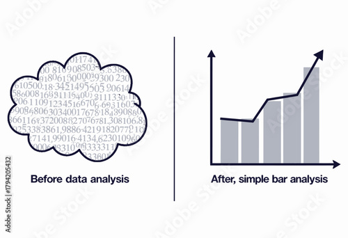 Transforming Raw Numerical Data into Comprehensive Visual Insights Through Simplified Bar Graph Analysis for Enhanced Interpretation and Decision Making