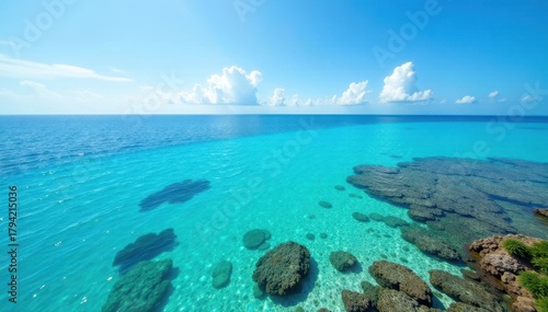 Fototapeta Naklejka Na Ścianę i Meble -  Crystal clear water, vibrant coral reef visible from shore , palm trees, island, image