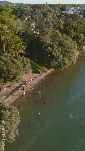 Aerial view of people swimming and relaxing at a beach in Point Chevalier, Auckland, New Zealand. Lush green trees line the coast, creating a scenic summer landscape.