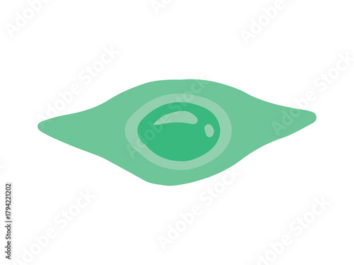 Fibroblast Immune Cell Clip Art