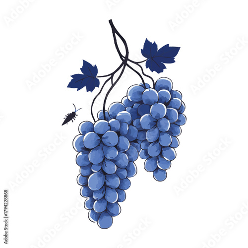 Ink painting of grapes in blue tones hanging from a vine with leaves and small grasshopper on rice paper background. Traditional oriental ink painting sumi-e, u-sin, go-hua. Hieroglyph - fresh.