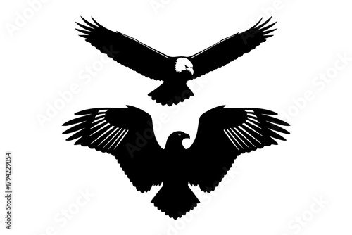 Eagle flying with fully speed silhouettes pack