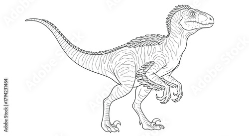 Detailed black and white line art illustration of a feathered raptor dinosaur in a dynamic walking pose, perfect for coloring books.