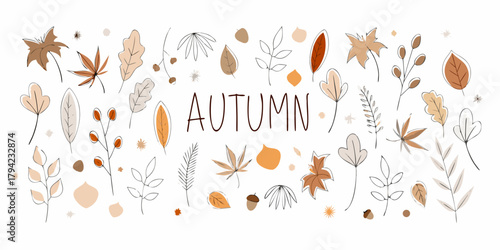 Hand drawn autumn leaves and berries with the word autumn in the center