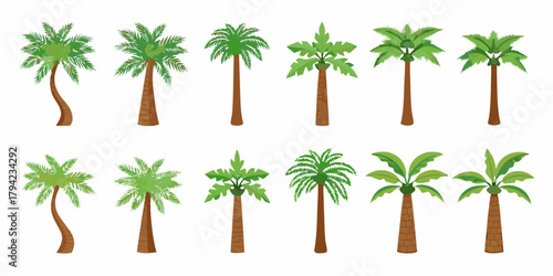 Collection of diverse stylized palm trees with green foliage and brown trunks on a white background