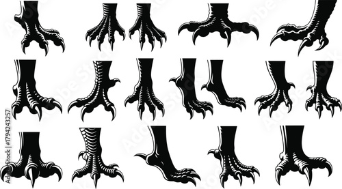 Bird feet silhouette, dinosaur claw illustration, reptile foot anatomy, avian claw design, prehistoric creature toes, black vector sketch