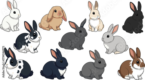 Vector Illustration Set of Domestic Rabbits: Detailed Cartoon Collection of Various Breeds and Coat Colors, Including Lop, Spotted, Gray, and Black Bunny Pets