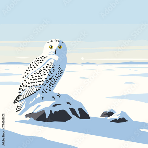 Beautiful snowy owl perched on a snow-covered rock in a vast, white arctic landscape under a pale winter sun.