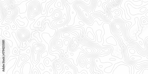 Minimal white line geometric grid outline curve counter map and wavy topography relief discovery area white, black line texture background.	
