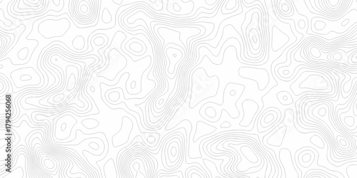Minimal white line geometric grid outline curve counter map and wavy topography relief discovery area white, black line texture background.	

