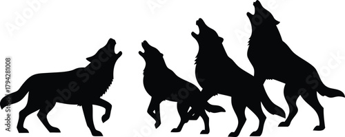 Silhouette of a wolf pack howling together against a stark on transparent background