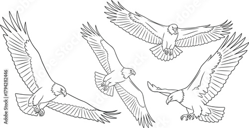 Flying eagle silhouette vector, hunting bird pose, majestic raptor wings spread, wildlife predator art, black and white drawing