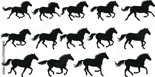 Horse galloping motion, silhouette sequence, equine biomechanics, animal movement study, dynamic poses, black vector illustration, animation frames, flat vector illustration