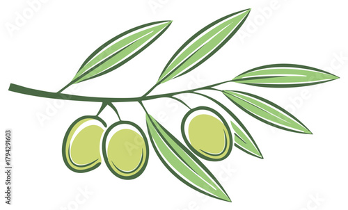 Olive Branch with Green Olives Isolated Graphic Element for Mediterranean Theme