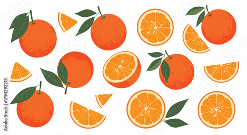 Large collection of fresh orange fruits, including whole oranges, juicy slices, and halves with green leaves in a textured style.