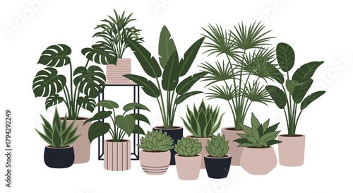 Beautiful composition of various potted indoor plants, including monstera, snake plant, and palms, creating a lush urban jungle.