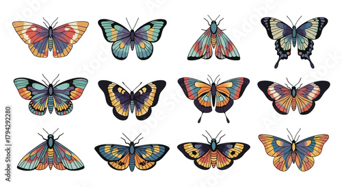 Beautiful collection of twelve stylized butterflies and moths, each with unique and colorful wings featuring intricate patterns.