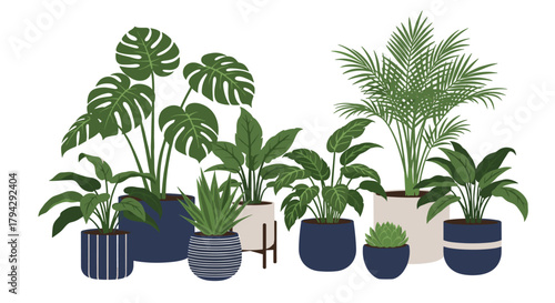 Stylish collection of various green indoor plants like monstera and palm trees in modern decorative blue and white ceramic pots.
