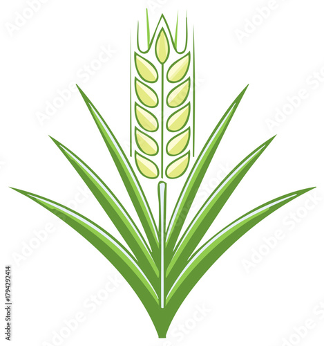 Stylized Wheat Grain and Leaves Vector Illustration Agriculture Farming Harvest
