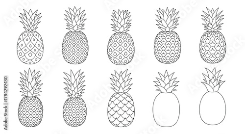 Set of ten pineapple fruit illustrations showing the progression from a detailed drawing to a simple black and white outline form.
