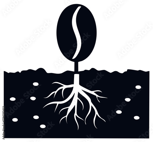 Sprouting coffee bean plant with visible roots in soil, a black and white vector icon