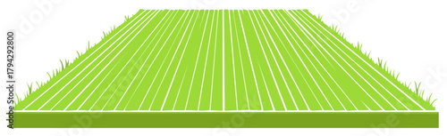 Graphic Field with Green Grass and Stripes Concept Design Element